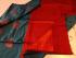 PL Softee Saree
